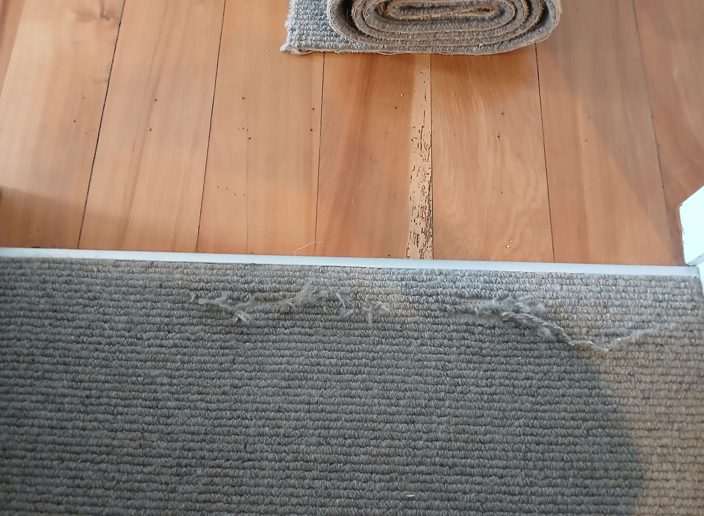 carpet-patching-and-repairs-new-plymouth