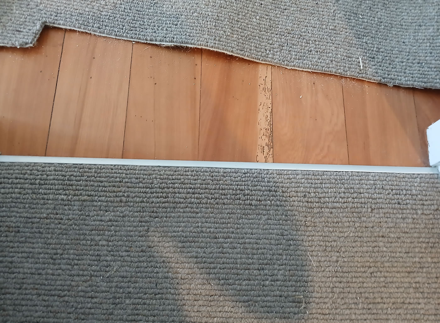 carpet-patching-and-repairs-new-plymouth