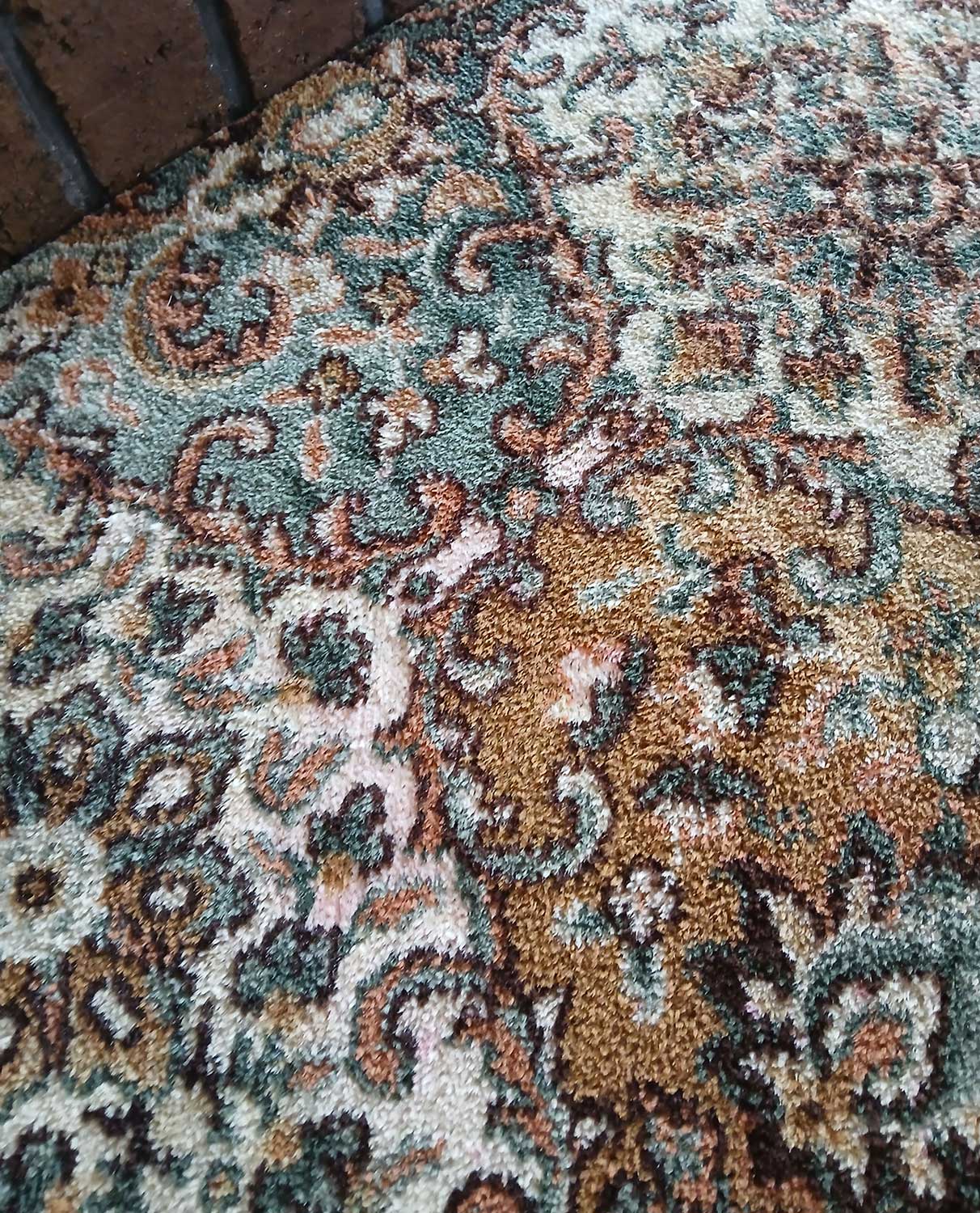 carpet-cleaning-taranaki