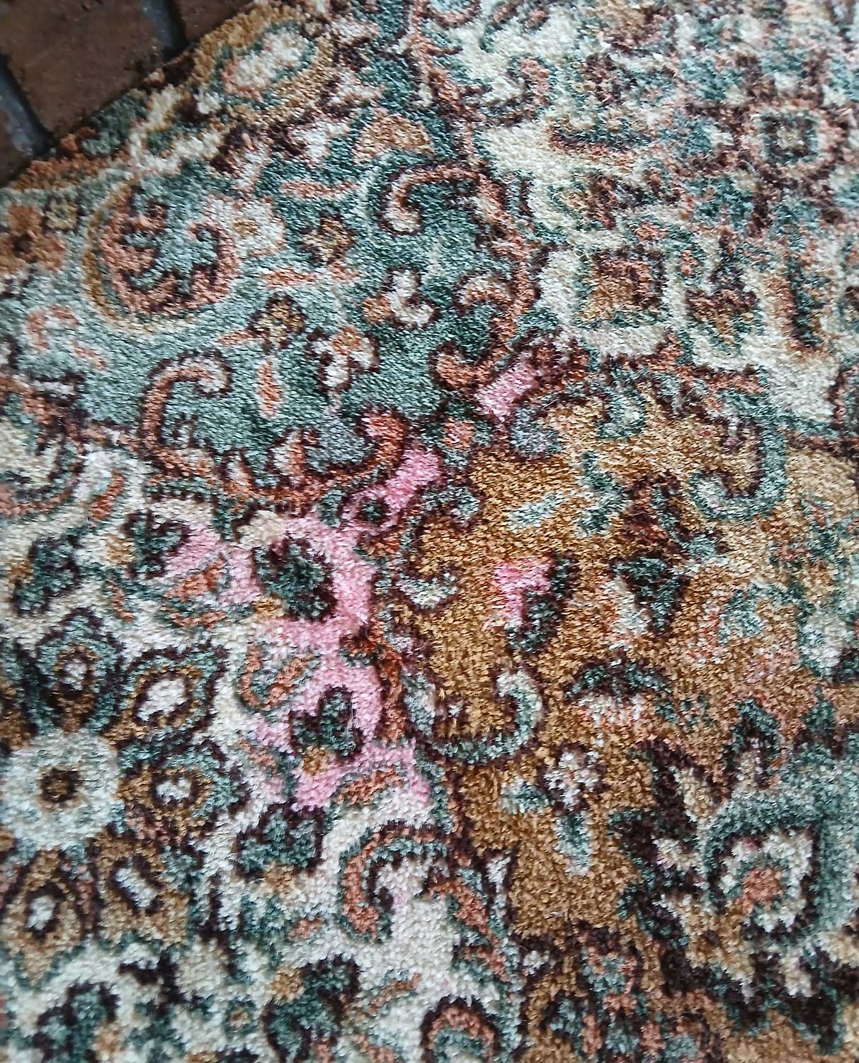 carpet-cleaning-taranaki