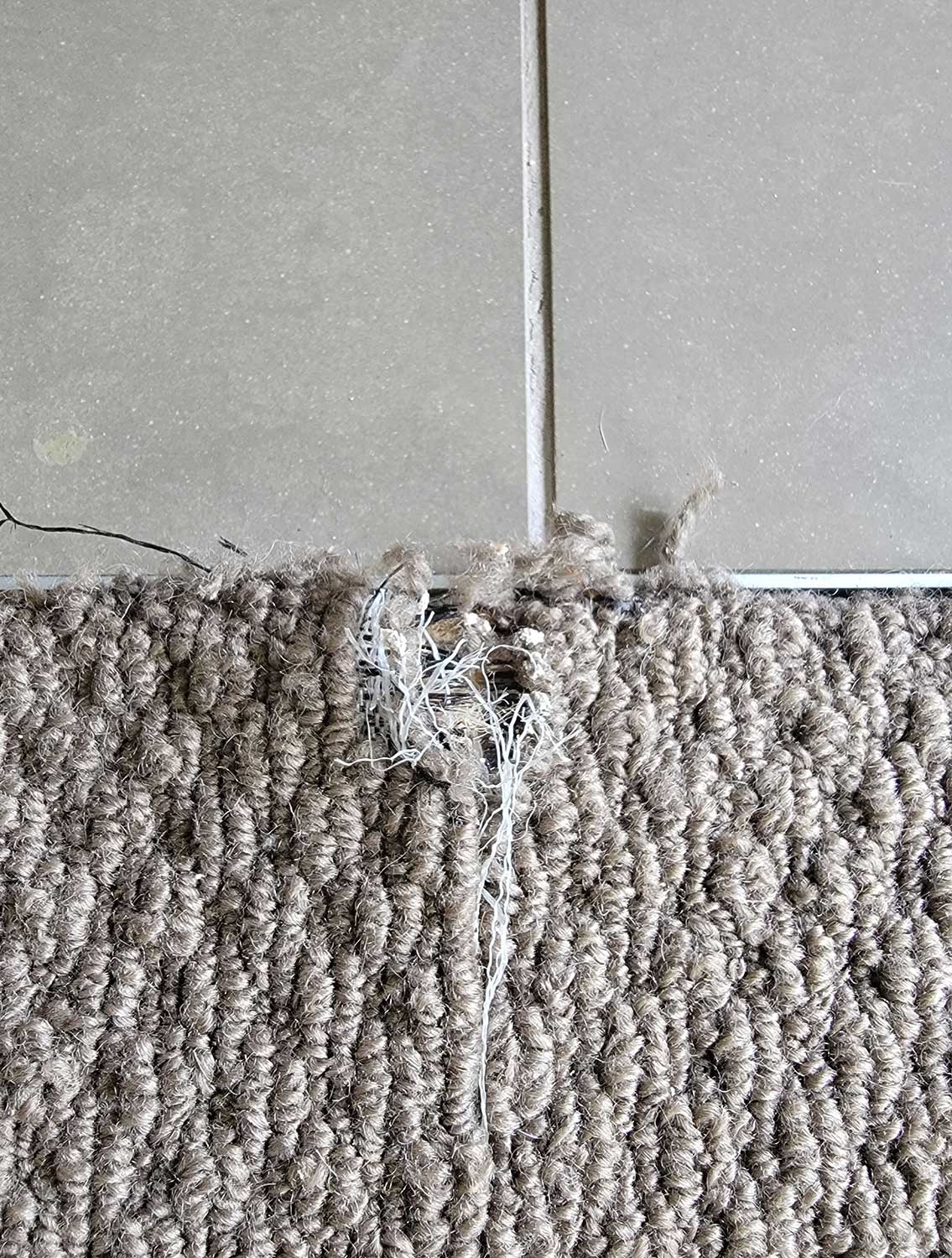 carpet-repairs-taranaki